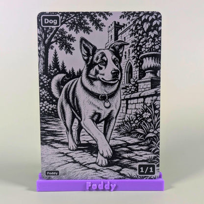 Dog