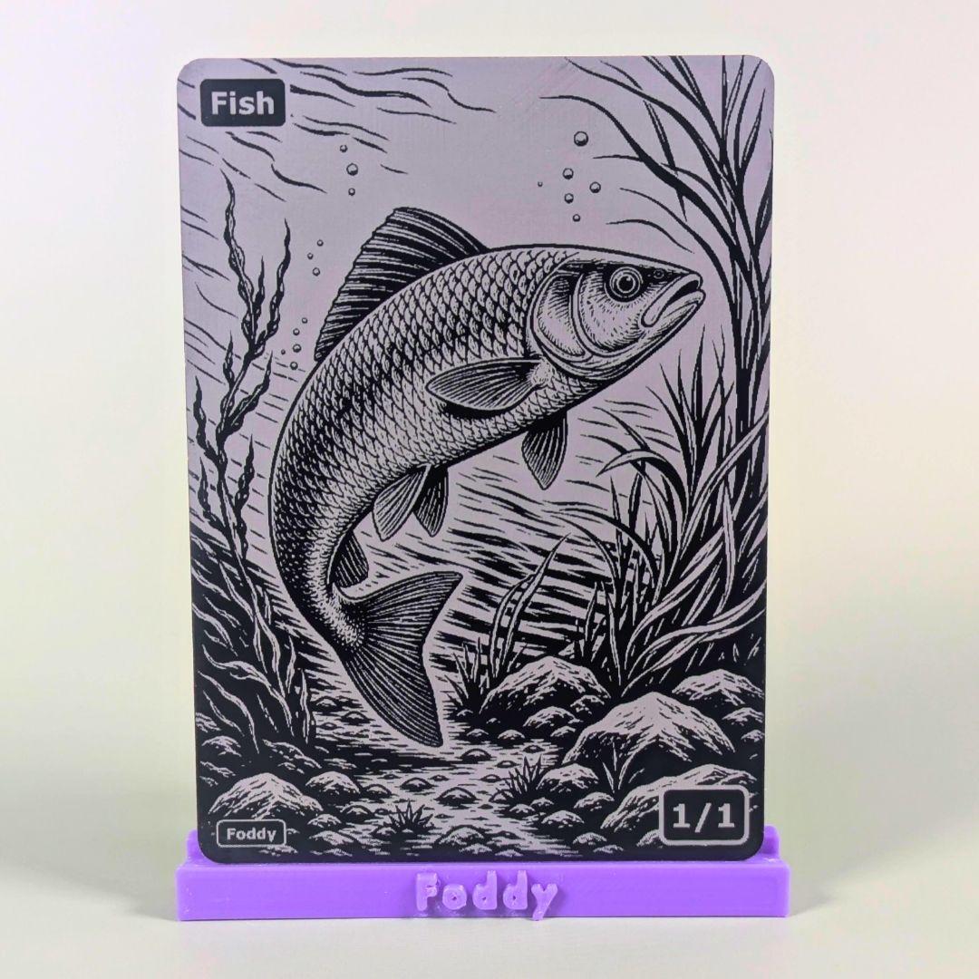 Fish