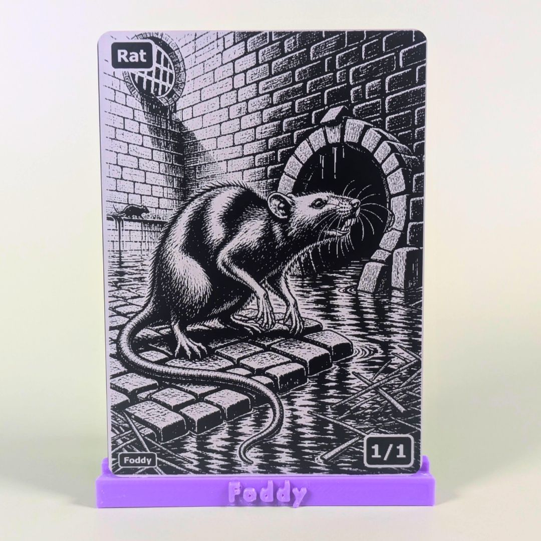 Rat