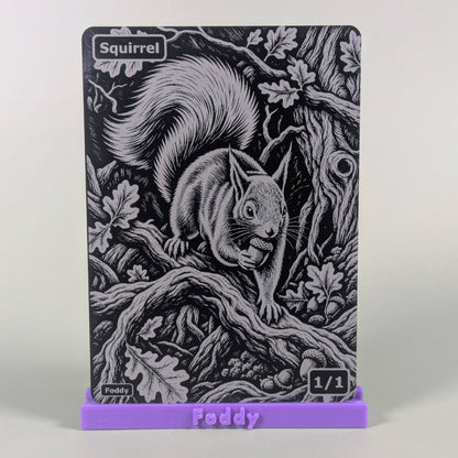 Squirrel